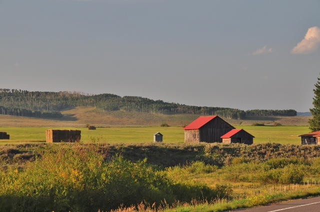 Off Highway 14 toward Walden